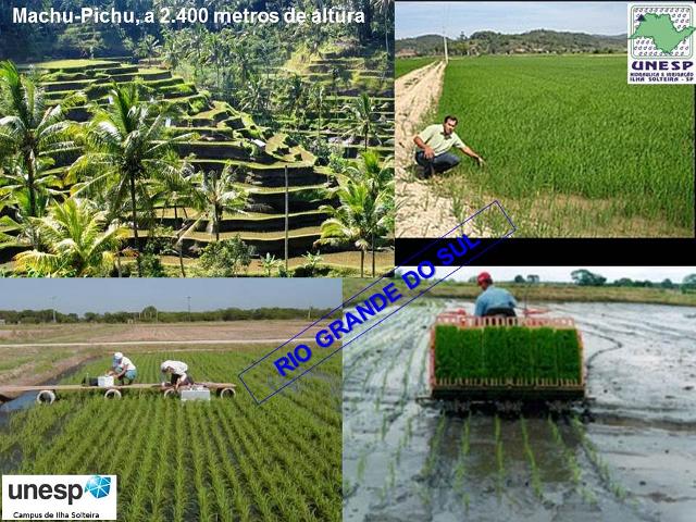 fernandopolis_25abr2012 (30).JPG